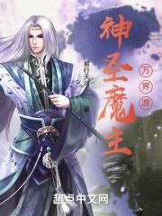 圣主魔气