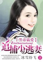 黑帝霸宠全球追捕萌妻