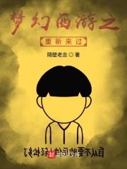 梦幻西游之重头再来