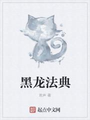 黑龙法典无错