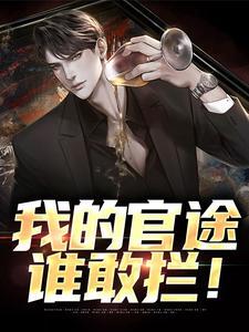 我的官场笔记免费阅读全文