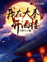 我在大秦开酒店在线阅读