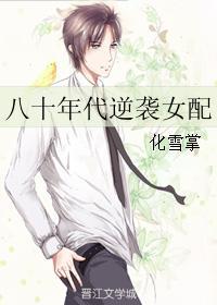 八十年代老式拖鞋