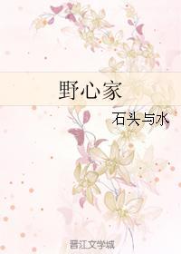 野心家形象