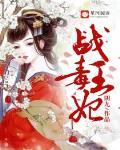 战王毒妃 作者阴九