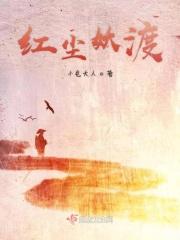 红尘摆渡